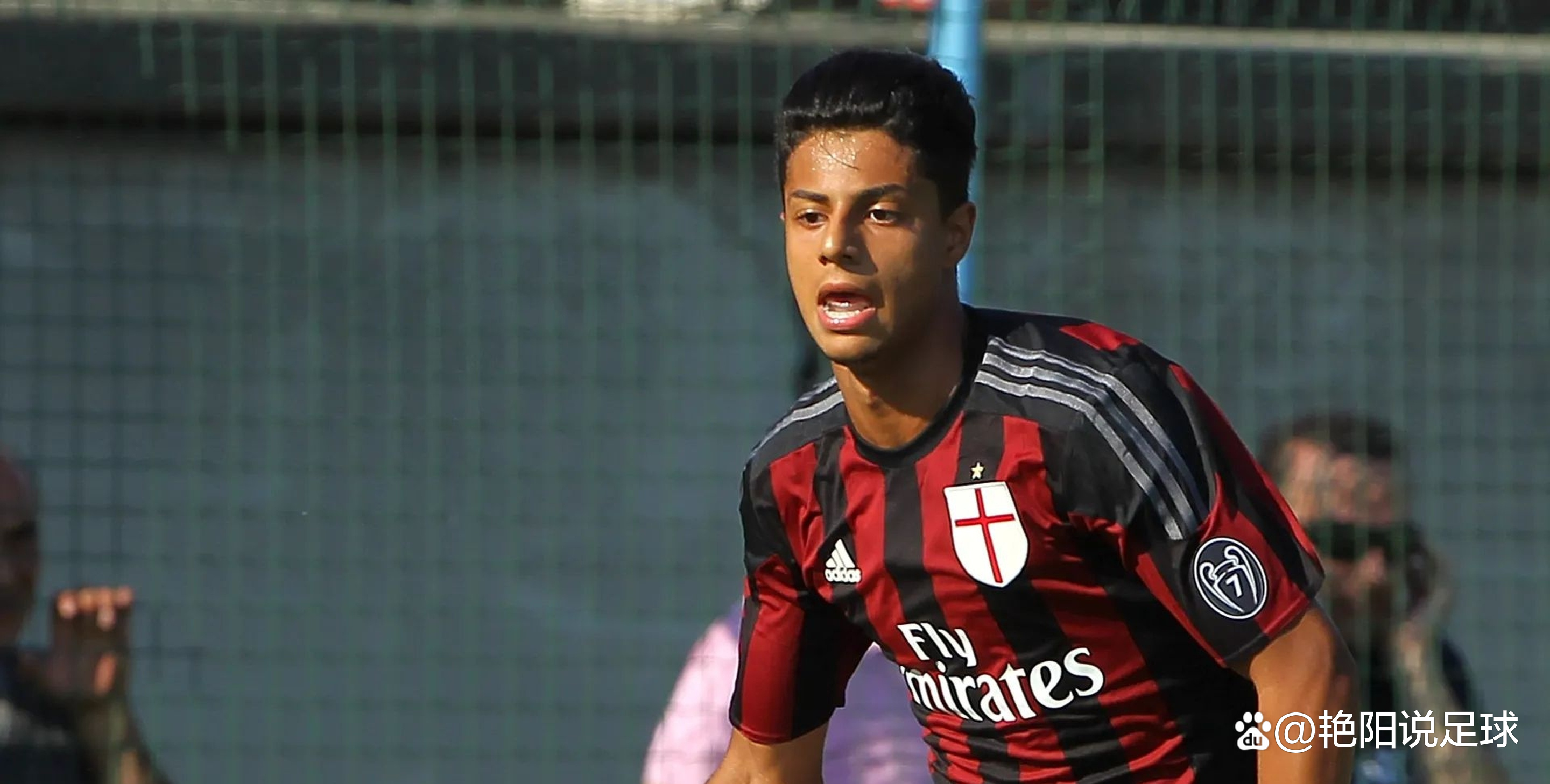 里尔前锋伊布拉希莫维奇或将离队转会